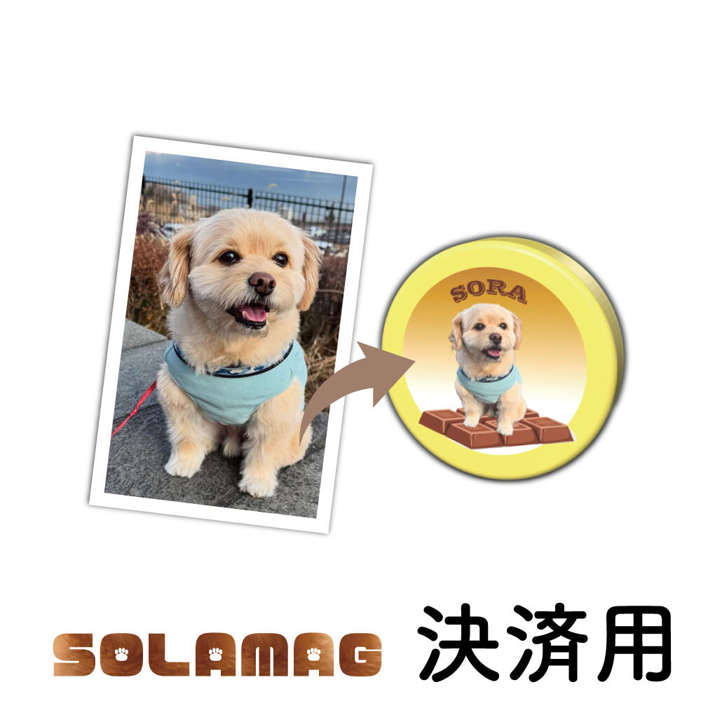 SOLAMAG